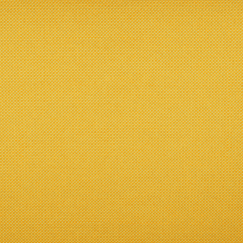 Michelangelo-Buttercup